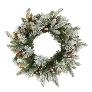 20" Flocked Mixed Pine Artificial Christmas Wreath with 50 LED Lights