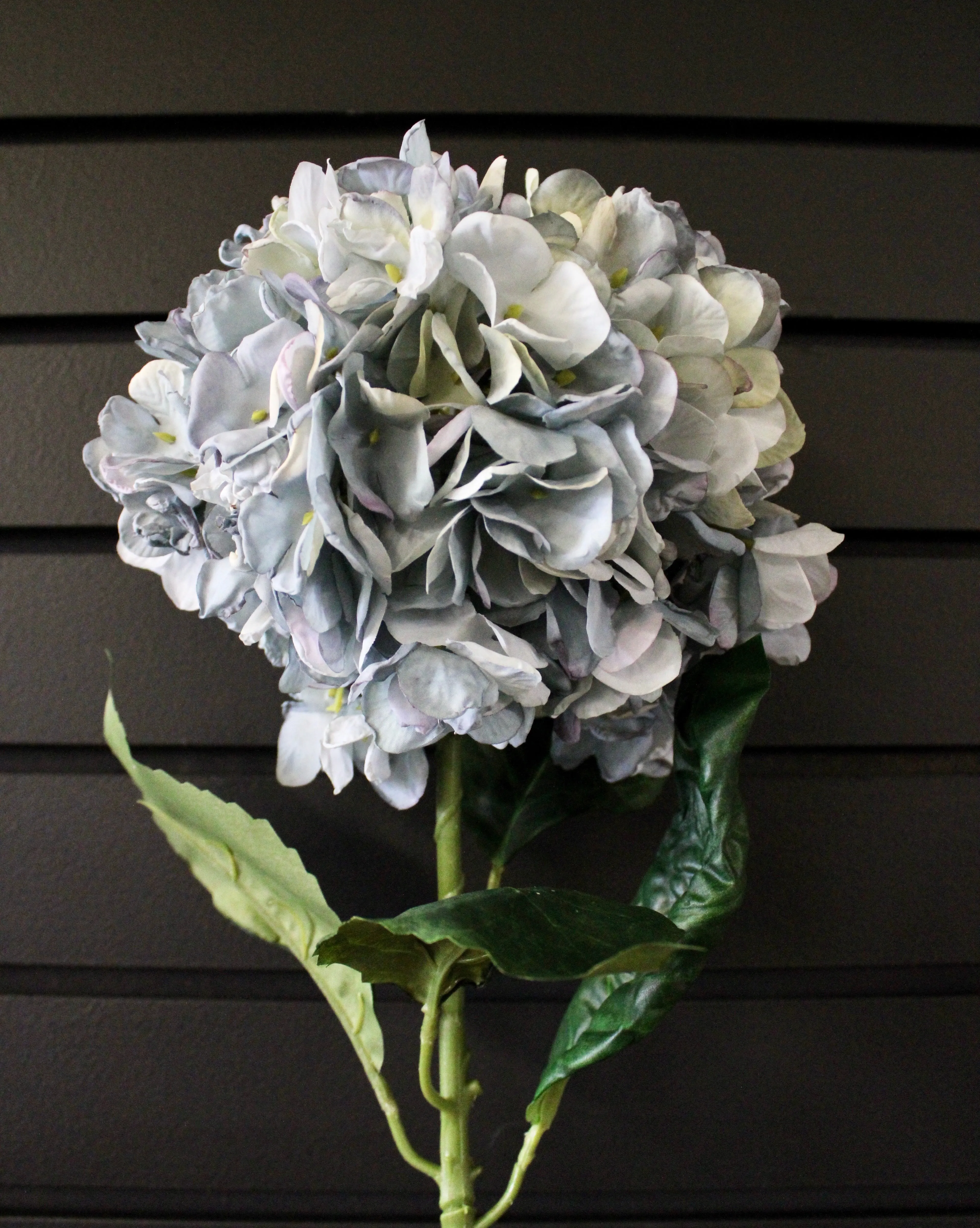 Blue “Dried Look” Hydrangea Stem