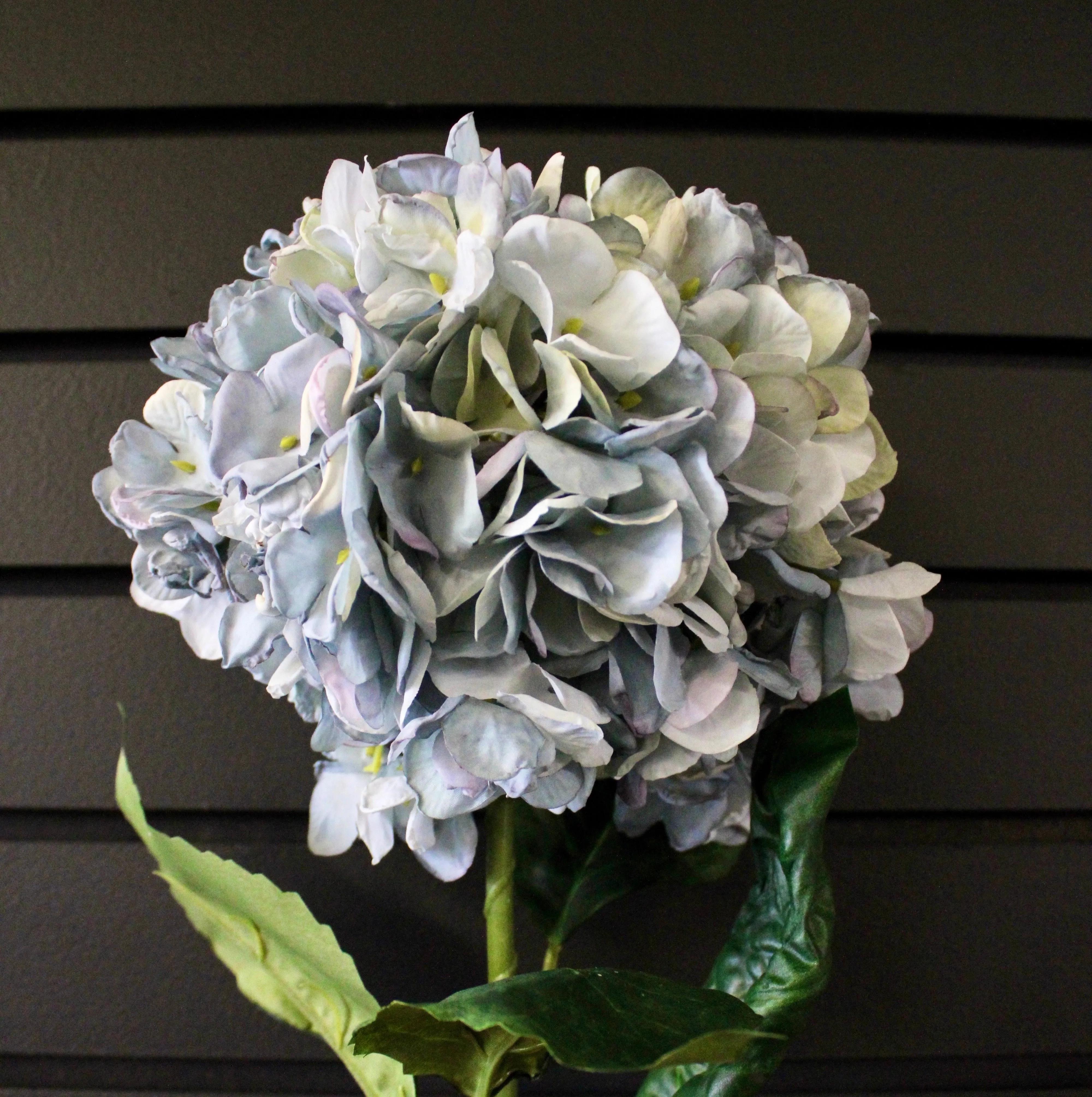 Blue “Dried Look” Hydrangea Stem