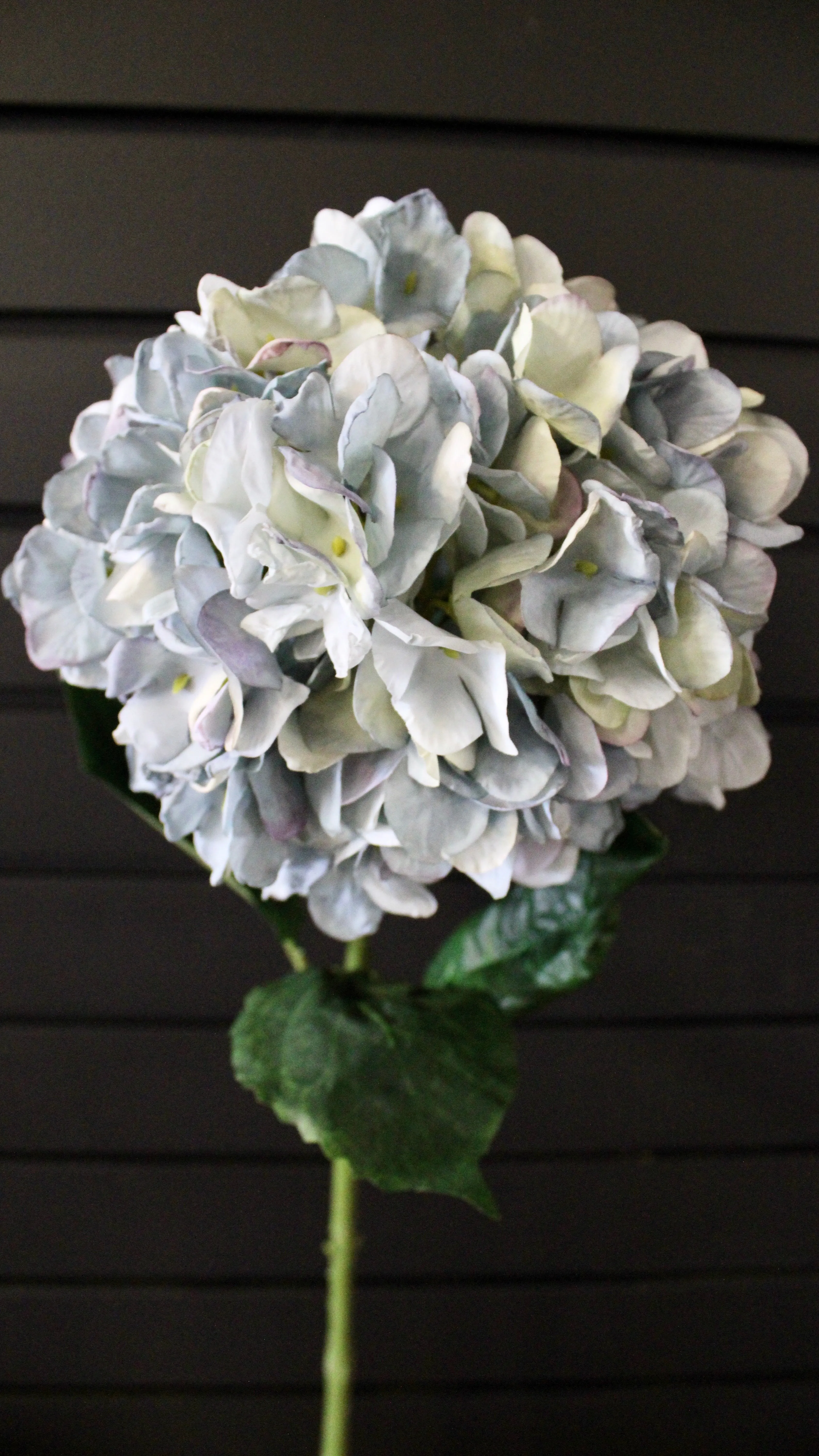 Blue “Dried Look” Hydrangea Stem