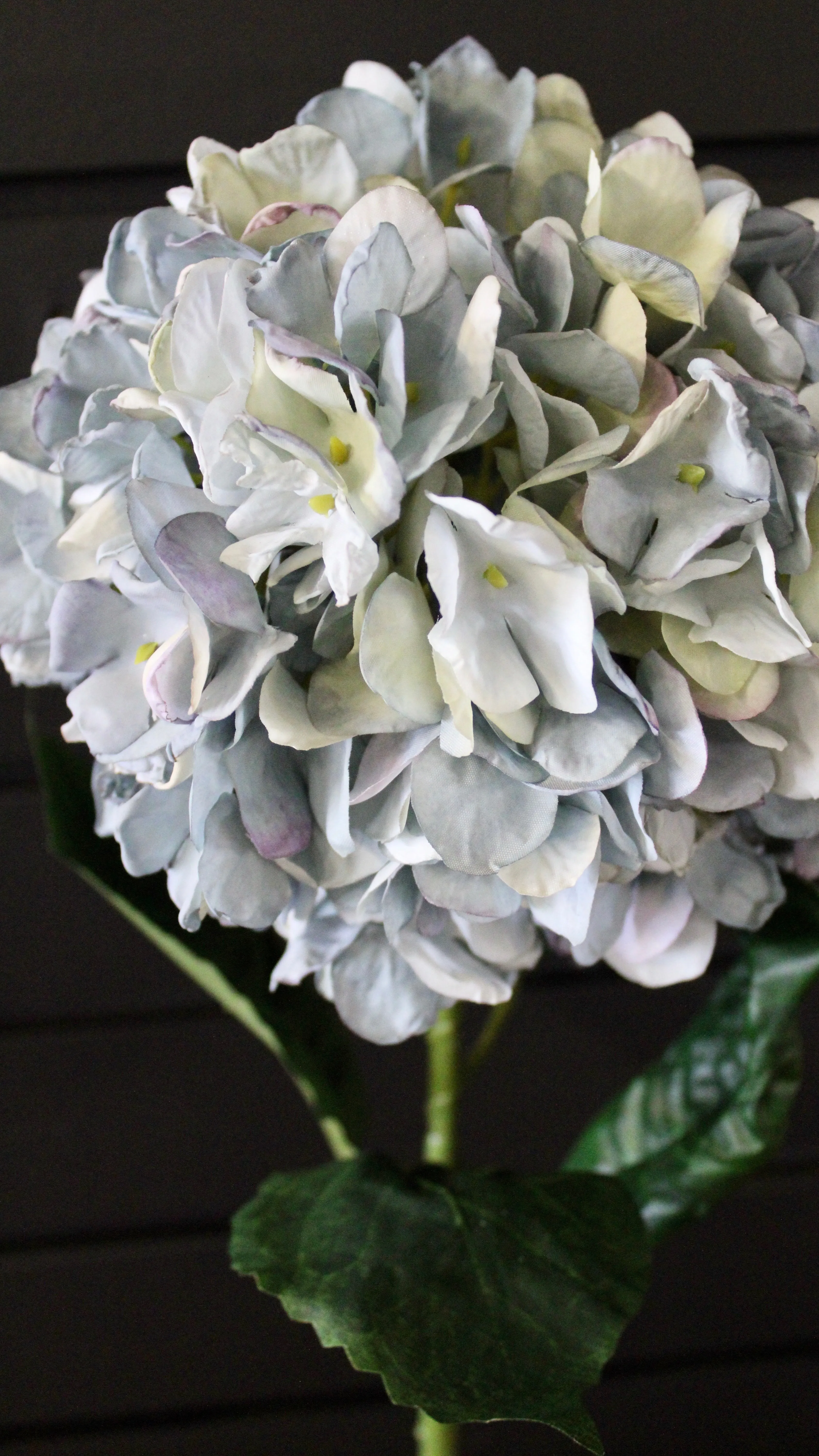 Blue “Dried Look” Hydrangea Stem