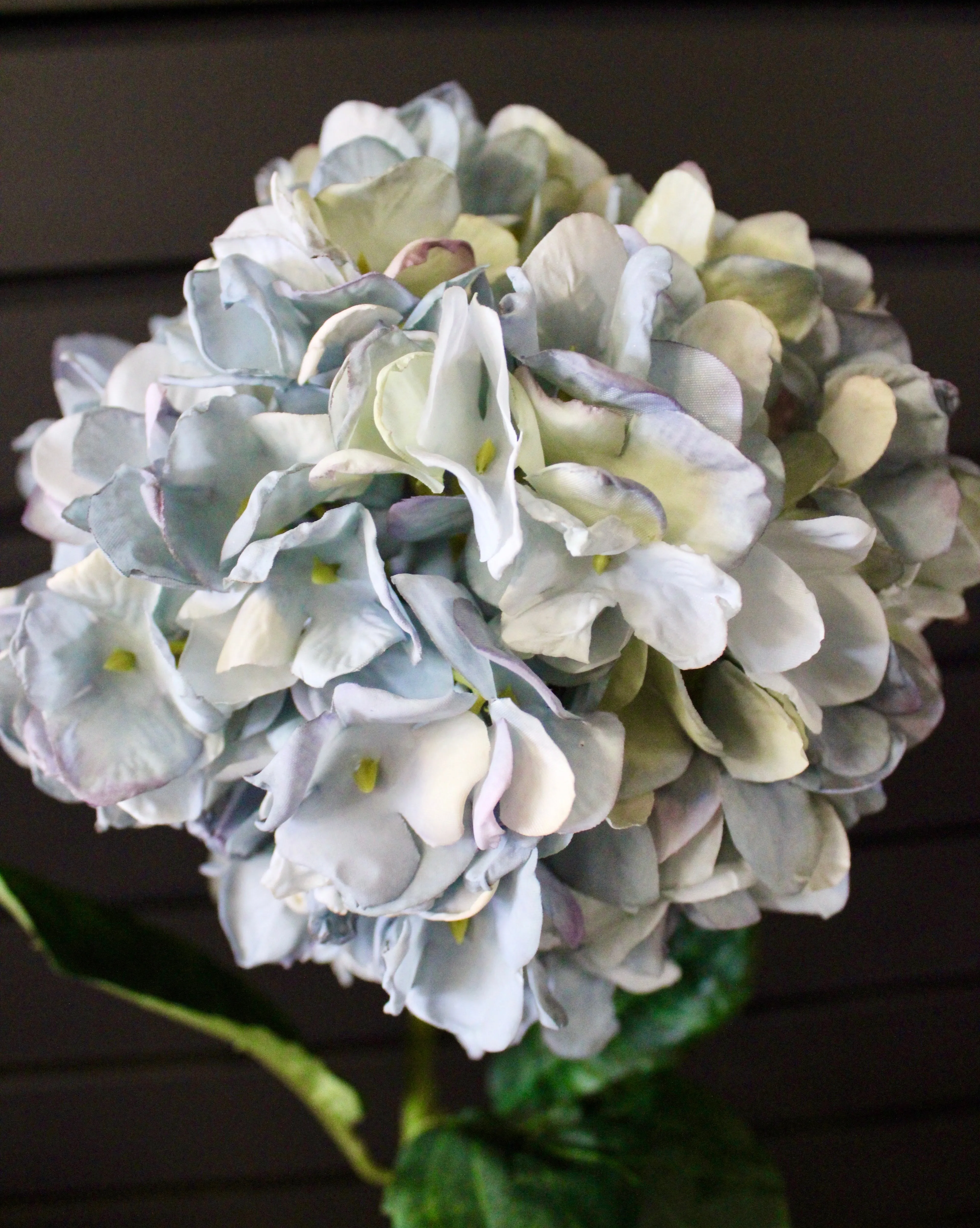 Blue “Dried Look” Hydrangea Stem