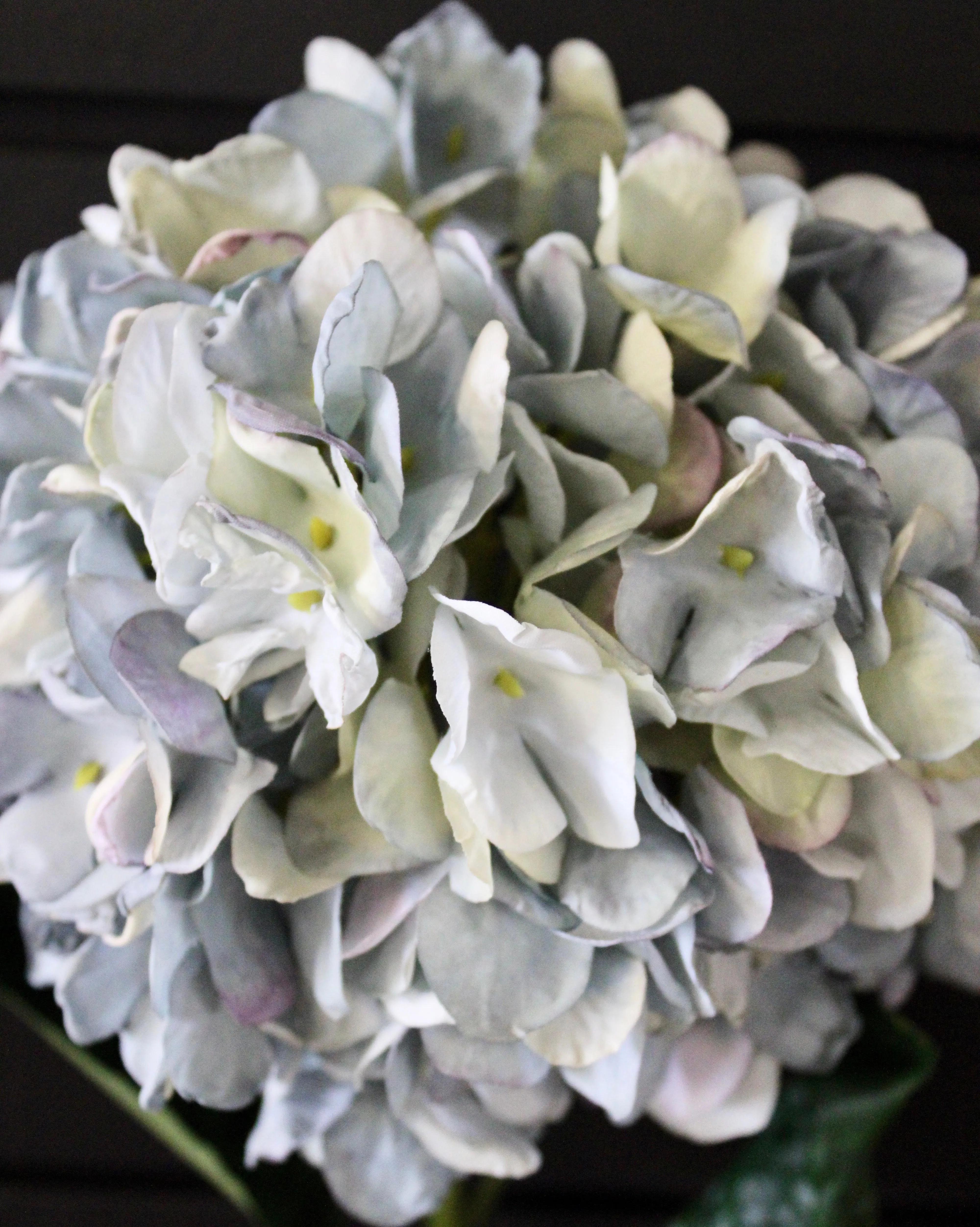 Blue “Dried Look” Hydrangea Stem