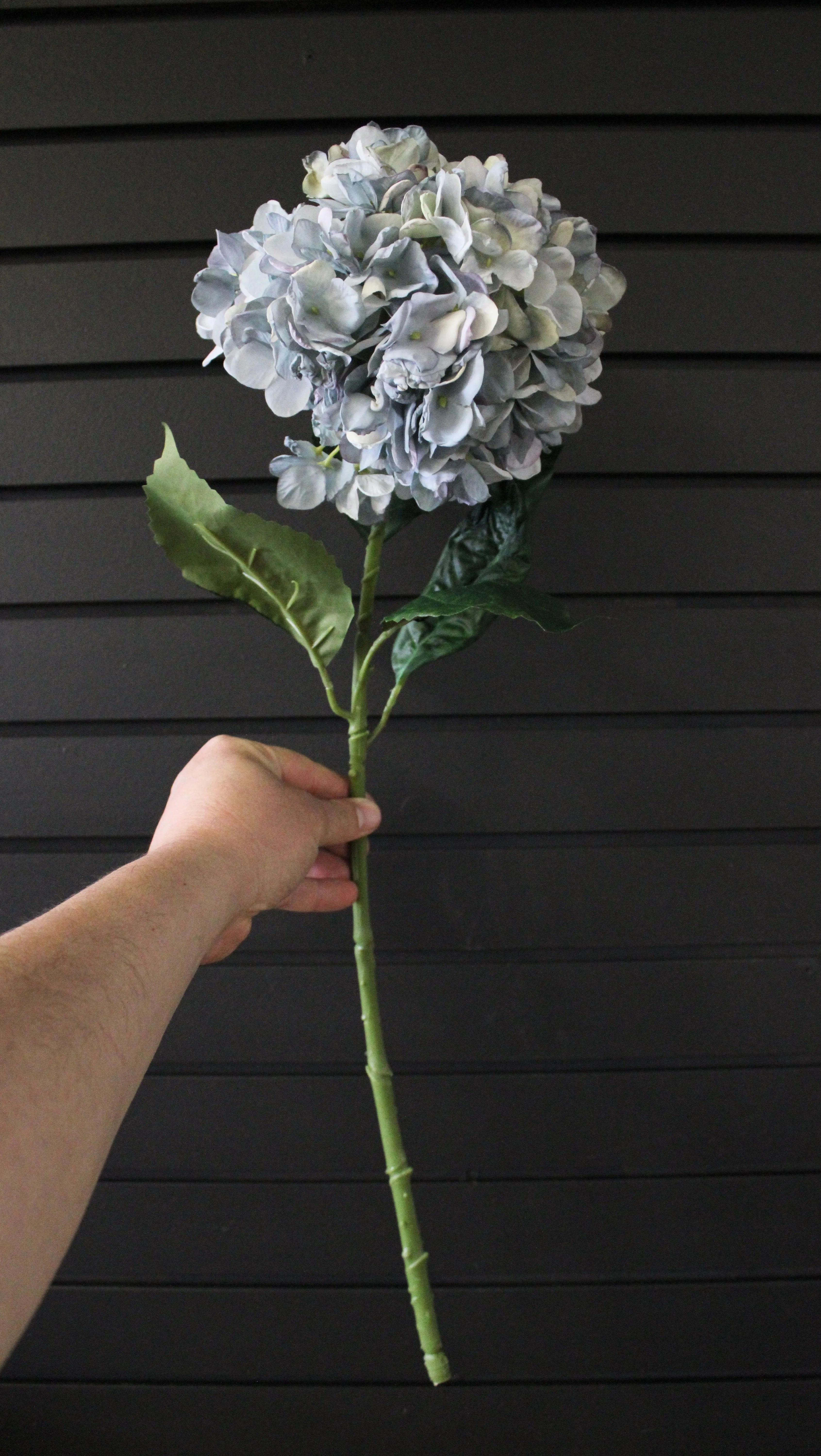 Blue “Dried Look” Hydrangea Stem