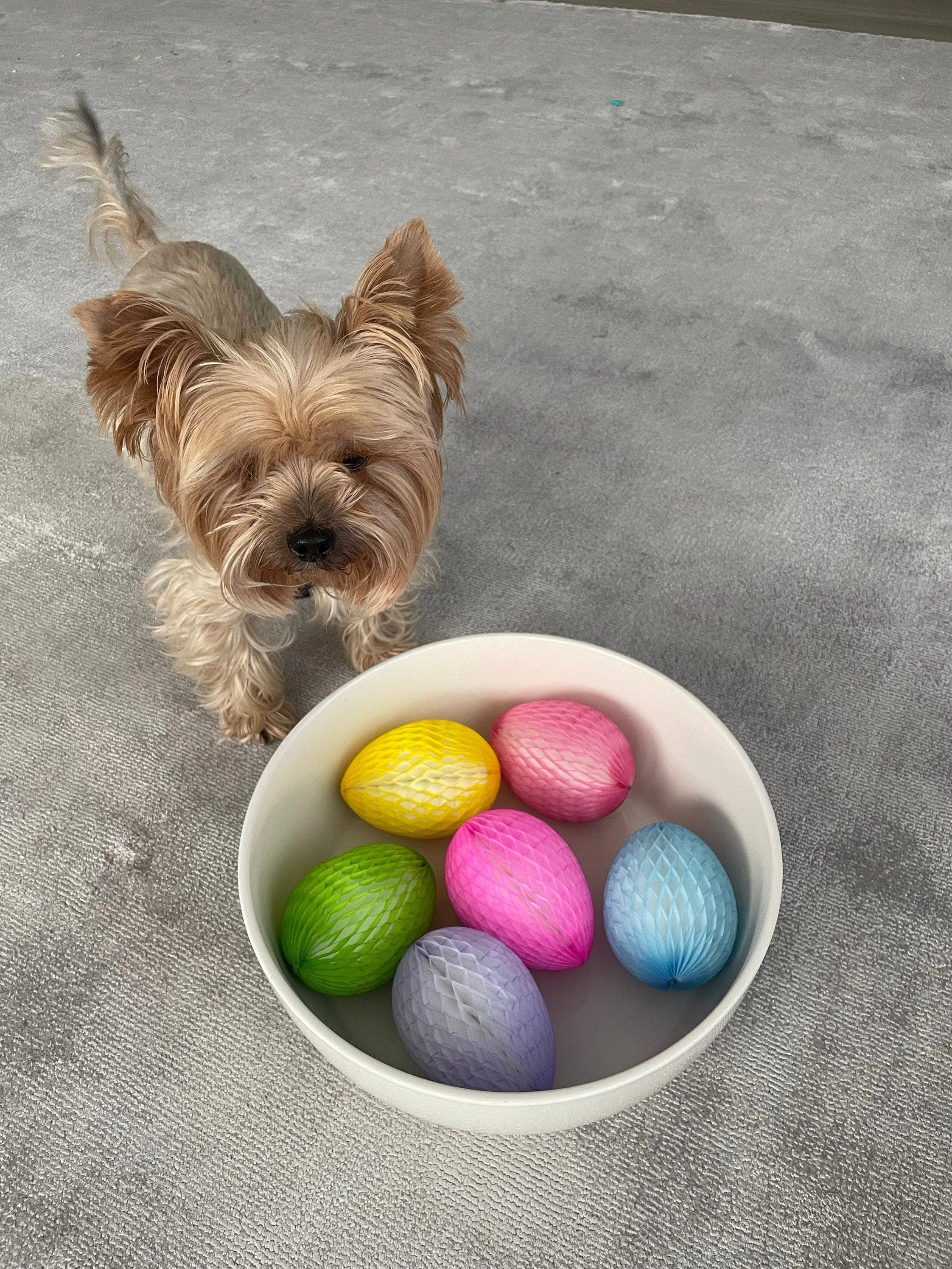 Easter Decorations-  Easter eggs  | Paper Easter egg decoration set | Colourful paper eggs