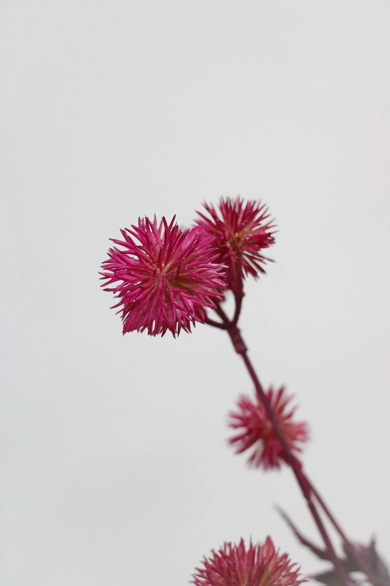 Faux Purple Globe Thistle Spray