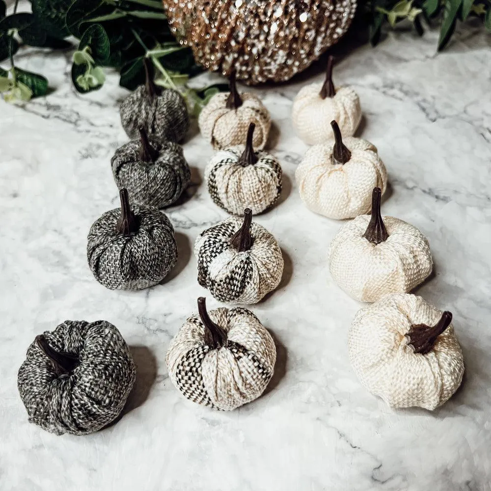 Mini Pumpkins 12pk