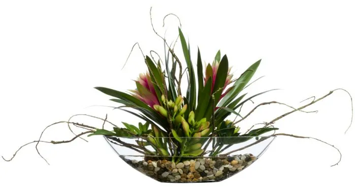 Tropical Bromeliads Yacht Silks Centerpiece Arrangement