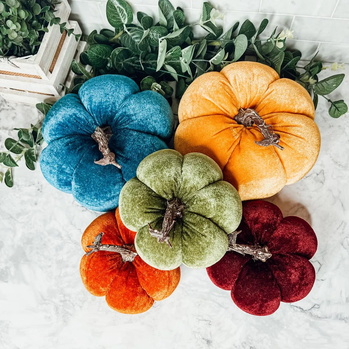 Velvet Pumpkins