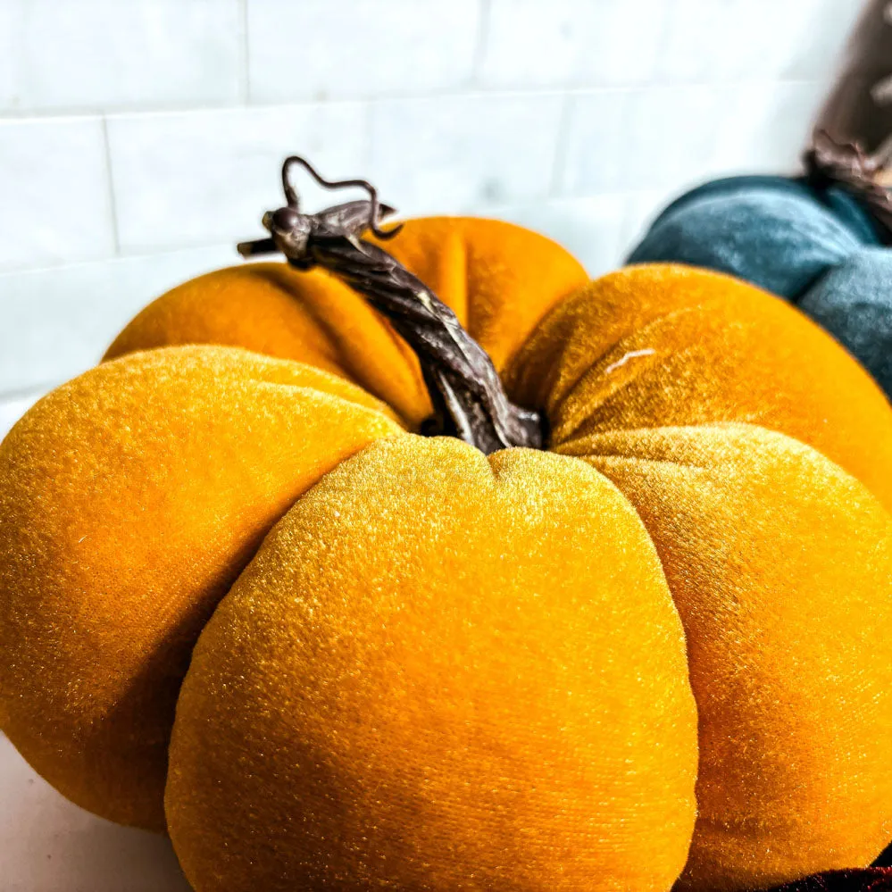 Velvet Pumpkins