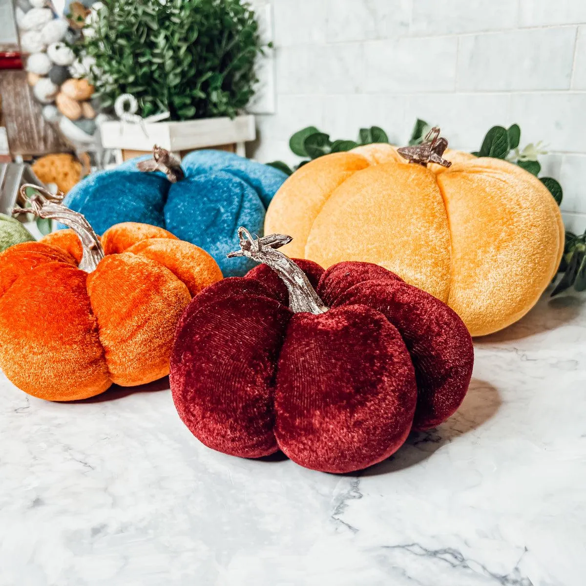 Velvet Pumpkins