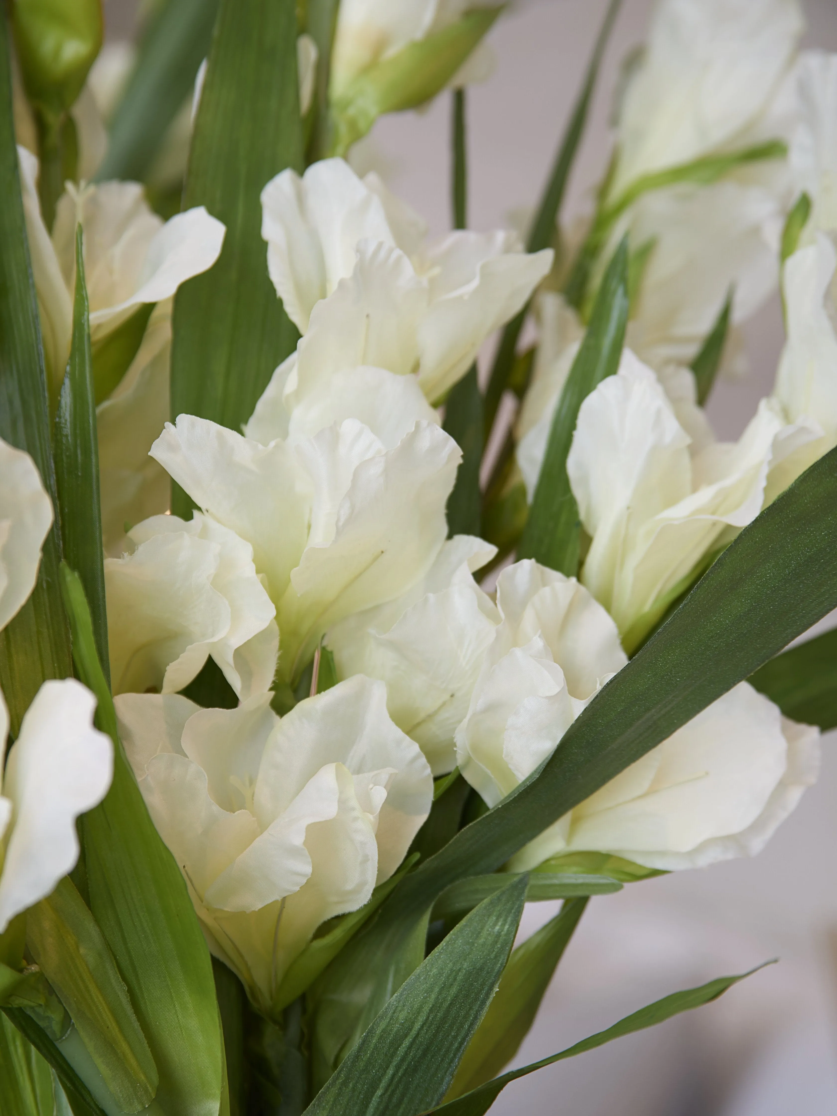 White Gladiolas Spray - Large