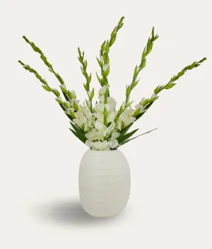 White Gladiolas Spray - Large