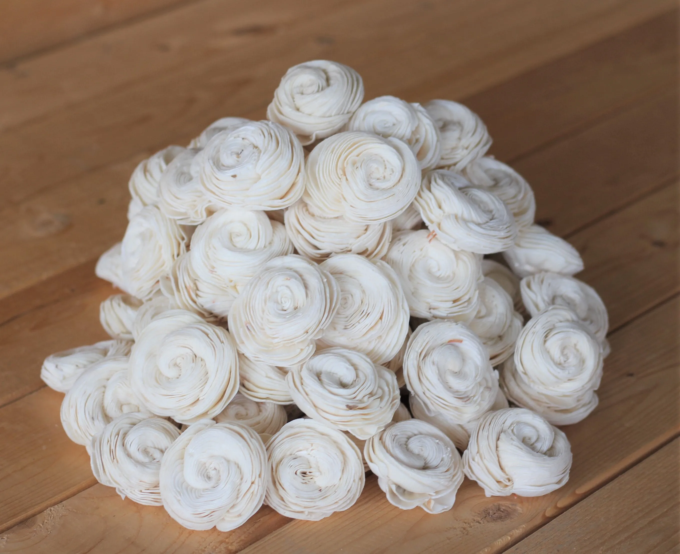 Wholesale/Bulk Sola Shell Flowers 2" ( 25 Count )